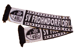 SV - Fanschal